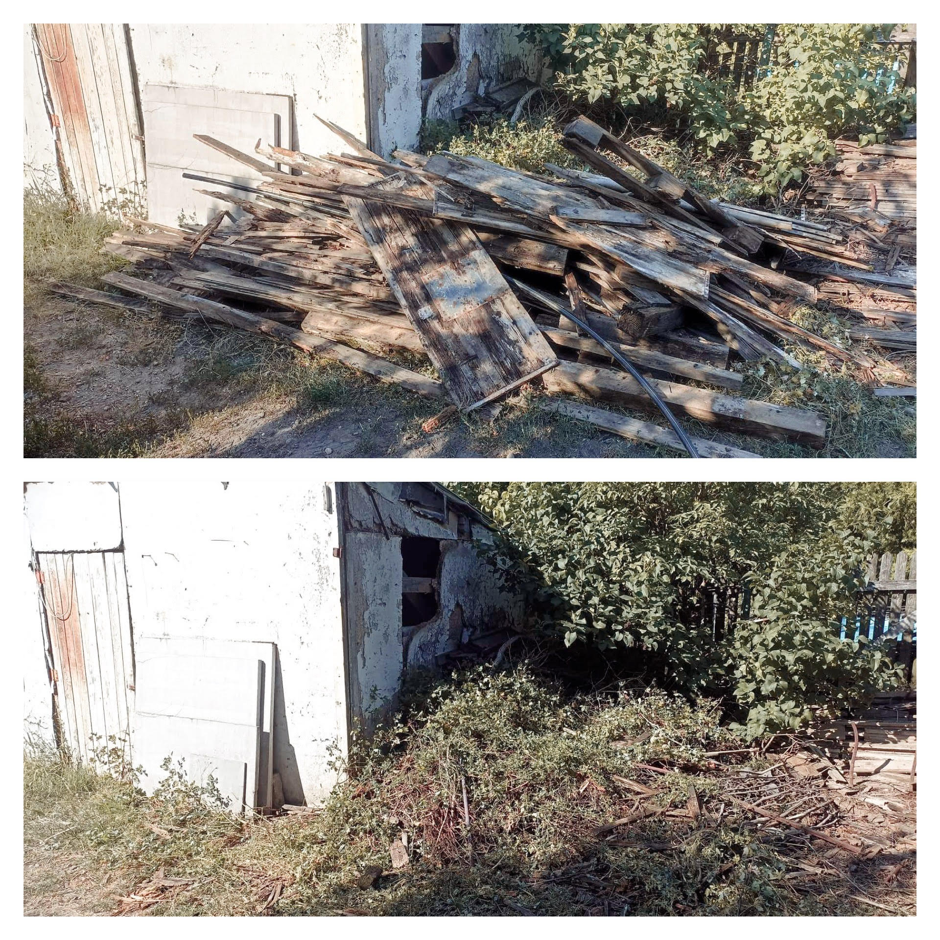 Szabályos elszállítás